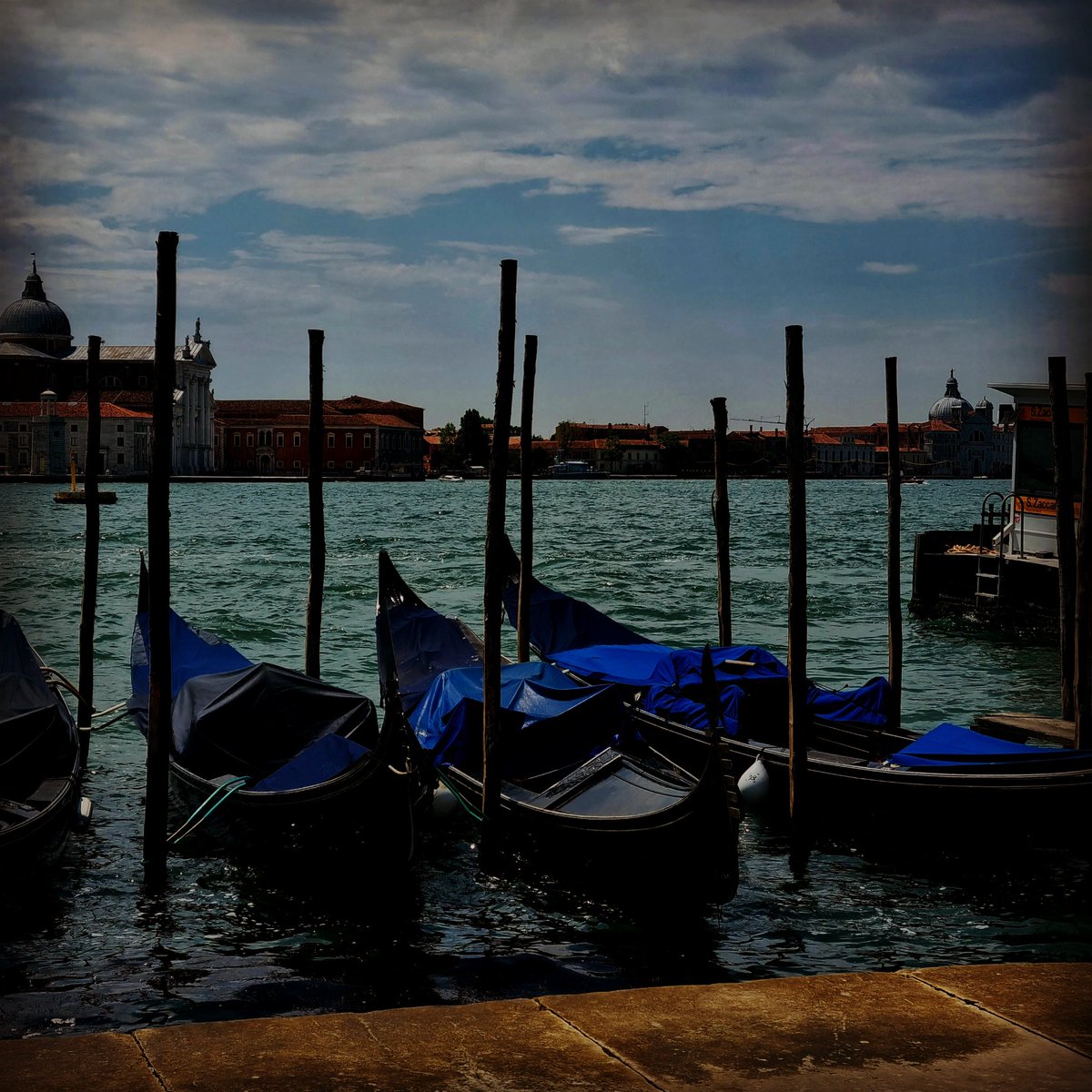 martha_tweeets's tweet photo. Buona serata 🍷🍷🦋⚘️🌱🌺
#venic #evening #Italy https://t.co/GmzEaOI8fl