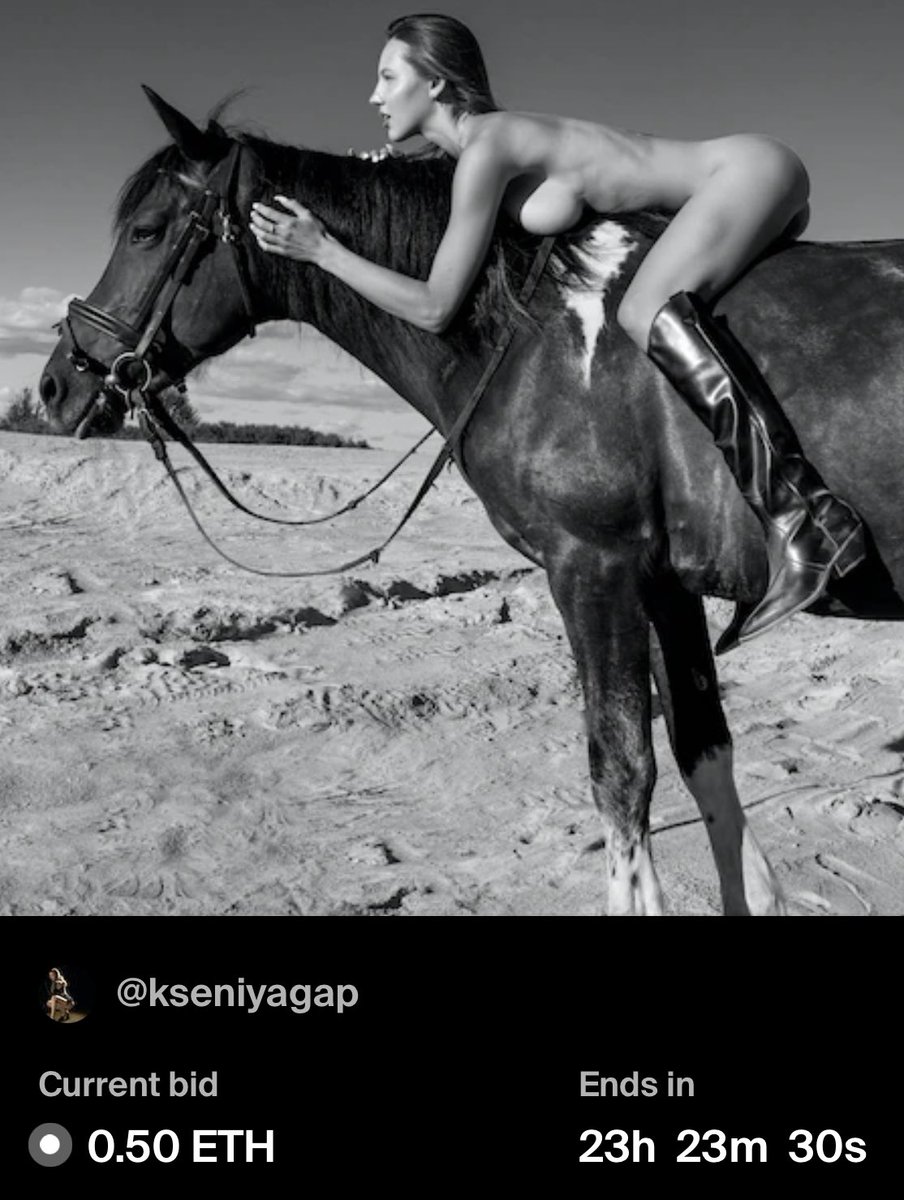 ksenigap's tweet photo. There is no limit to my happiness! The auction started with my most favorite picture🖤🔥
Many thanks to @GSSISBST for appreciating my vision of the photo💫

You have no idea how inspiring it is . love🤍 https://t.co/MbJPQj0JyT