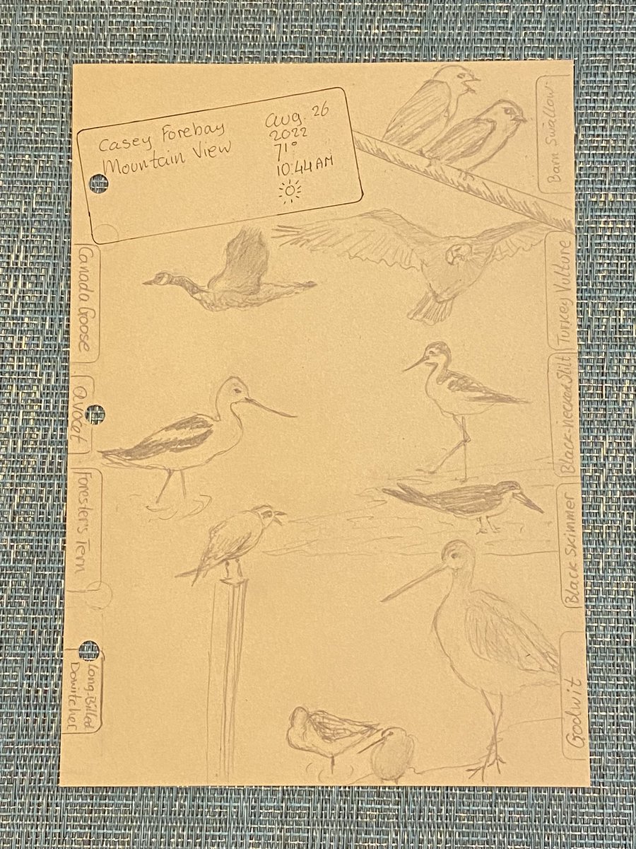 utopia4sharing's tweet image. Nice walk and making new nature loving friends.