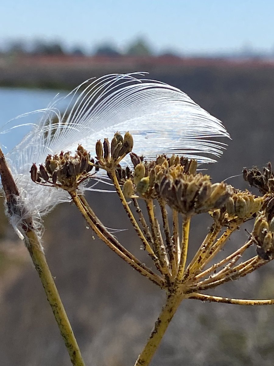 utopia4sharing's tweet image. Nice walk and making new nature loving friends.