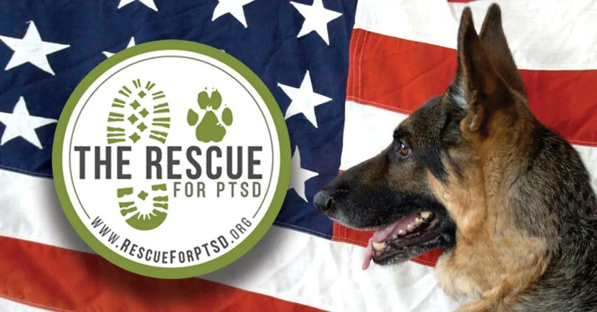 Mil_Finance's tweet photo. The Rescue trains rescue and shelter dogs to work as psychiatric service dog partners for veterans suffering from PTSD, with the goal of aiding in the restoration of their emotional and physical independence.  

https://t.co/k8BrGOEOJa  

#Mil #Military #Finance #militaryfinance https://t.co/LqdP4FW09U