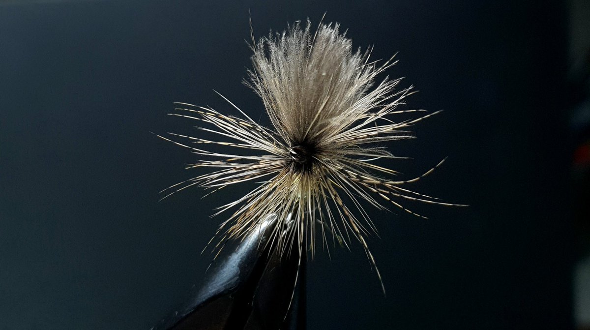 GayleMarsh14's tweet photo. My most successful dry fly this season. 😉
#flyfishing
#flytying 
#sharingflieswithastranger https://t.co/FC2ijpLTe9