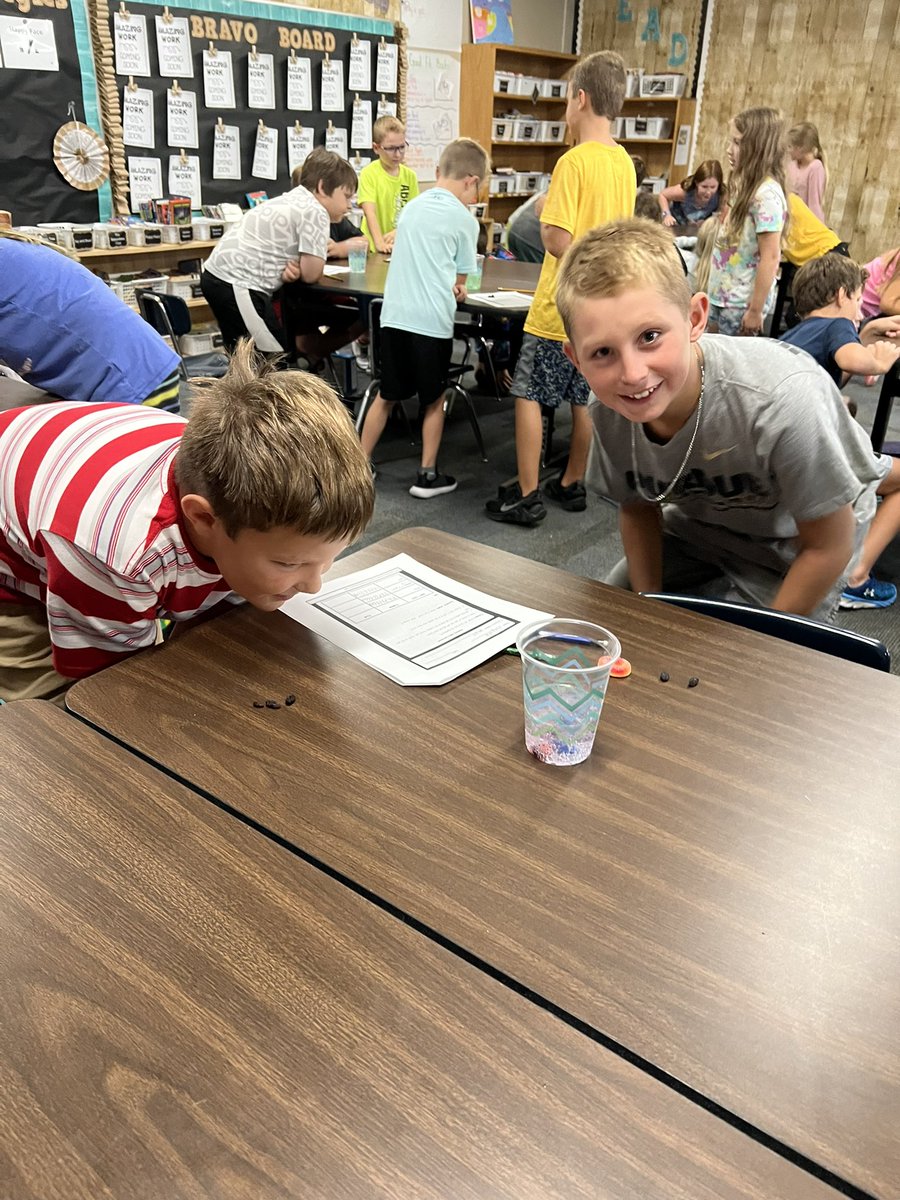 CopesClassroom's tweet photo. We were Learning about the scientific method through a fun candy lab! Students were trying to determine which “candy” would dance in the Sprite. @MatthewMillerpe @kcox132 https://t.co/UcP2OCCZUb