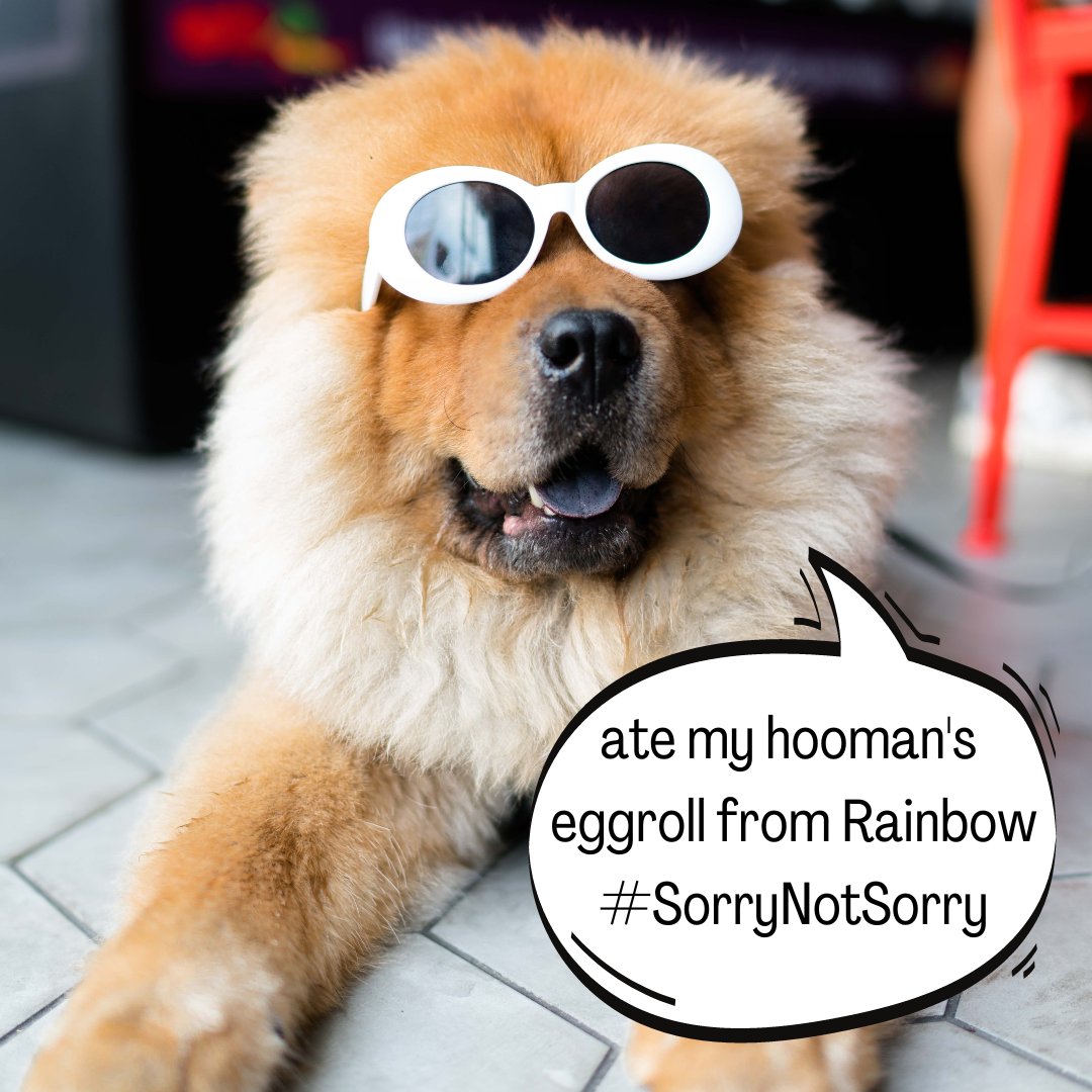 Happy National Dog Day from Team Rainbow 🌈💗 Even when they steal our giant, crispy eggrolls, they're the goodest doggos and they all deserve a good belly rub!! 

You can get more eggrolls here... bit.ly/RainbowMpls