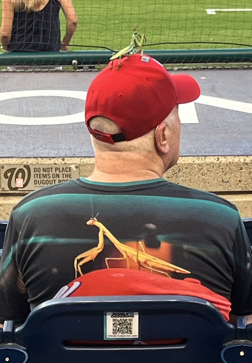 McDTimJ's tweet image. A true fan @NationalsPark tonight… @Nationals #VictorRobles