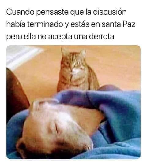 AstradaEmilia's tweet photo. Jajajaja jajajaja jajajaja jajajaja 🤣😂🤣 https://t.co/tMJgI7M50R