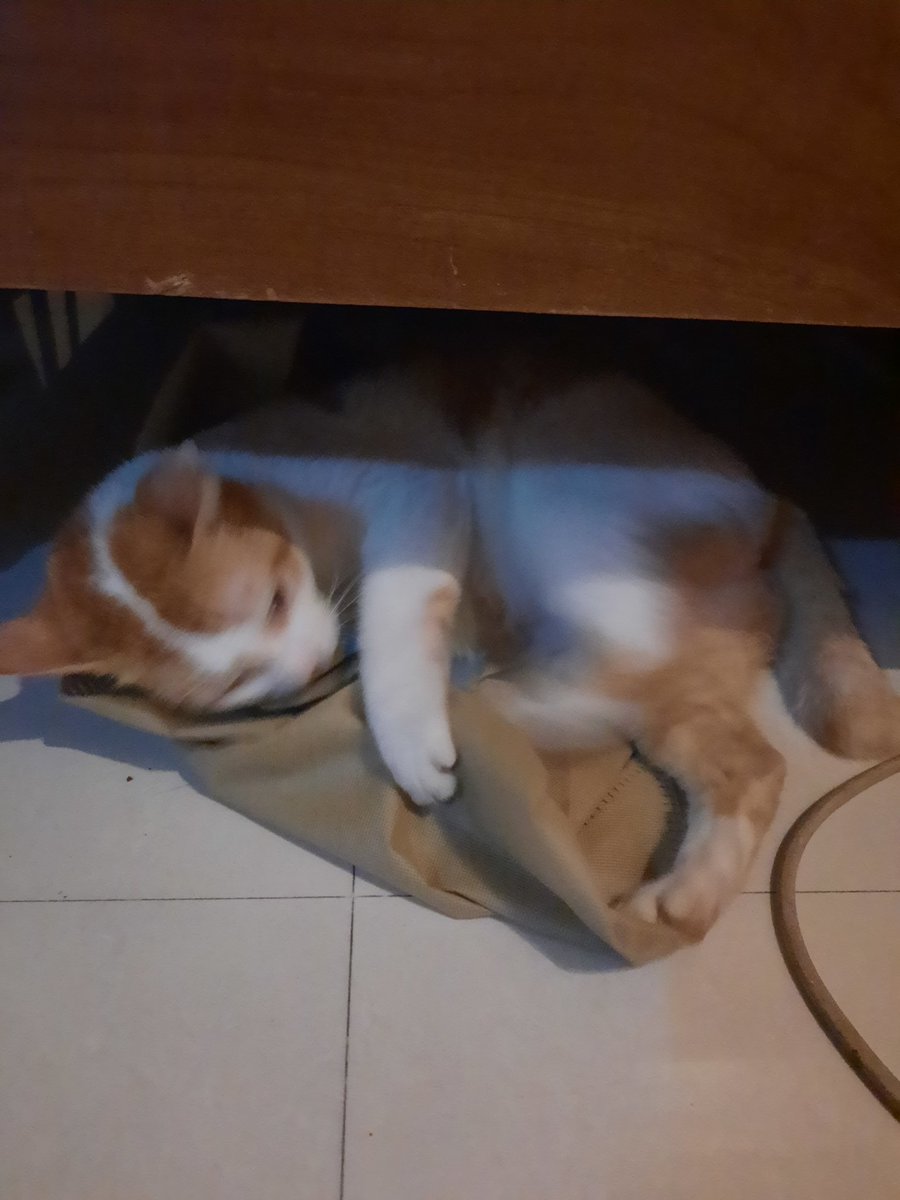 choowhee's tweet photo. Ngumpet ah di kolong drpd disuruh belajar nulis jg https://t.co/DmsymuXHMz