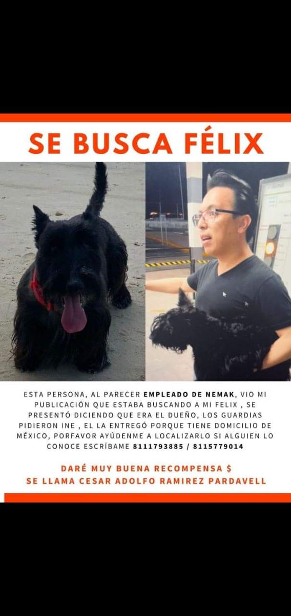 malemc75's tweet photo. Está persona robó el perrito
Ayudame a compartir,  @c4jimenez @azucenau @telediario @oskarinelperrin @Chiomaldonado @sylviapasquel @jzarzap @mocastaneda @raquelgarzac @Betocastillo73 RT por favor https://t.co/C4AiLvcm2v