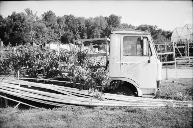 Tim Morgan tweet media