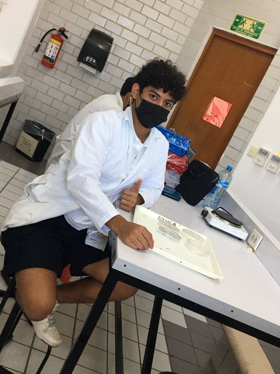 CICYoficial's tweet photo. Luego de dos semanas de trabajo, se llevó a cabo la feria de ciencias en la que los participantes de la décima primera generación de #TalentoCICY realizaron un proyecto de ciencia, asesorados por el personal académico del #CICY.

Más información en https://t.co/uTgpOfhlnO https://t.co/iqUwiyeRWL