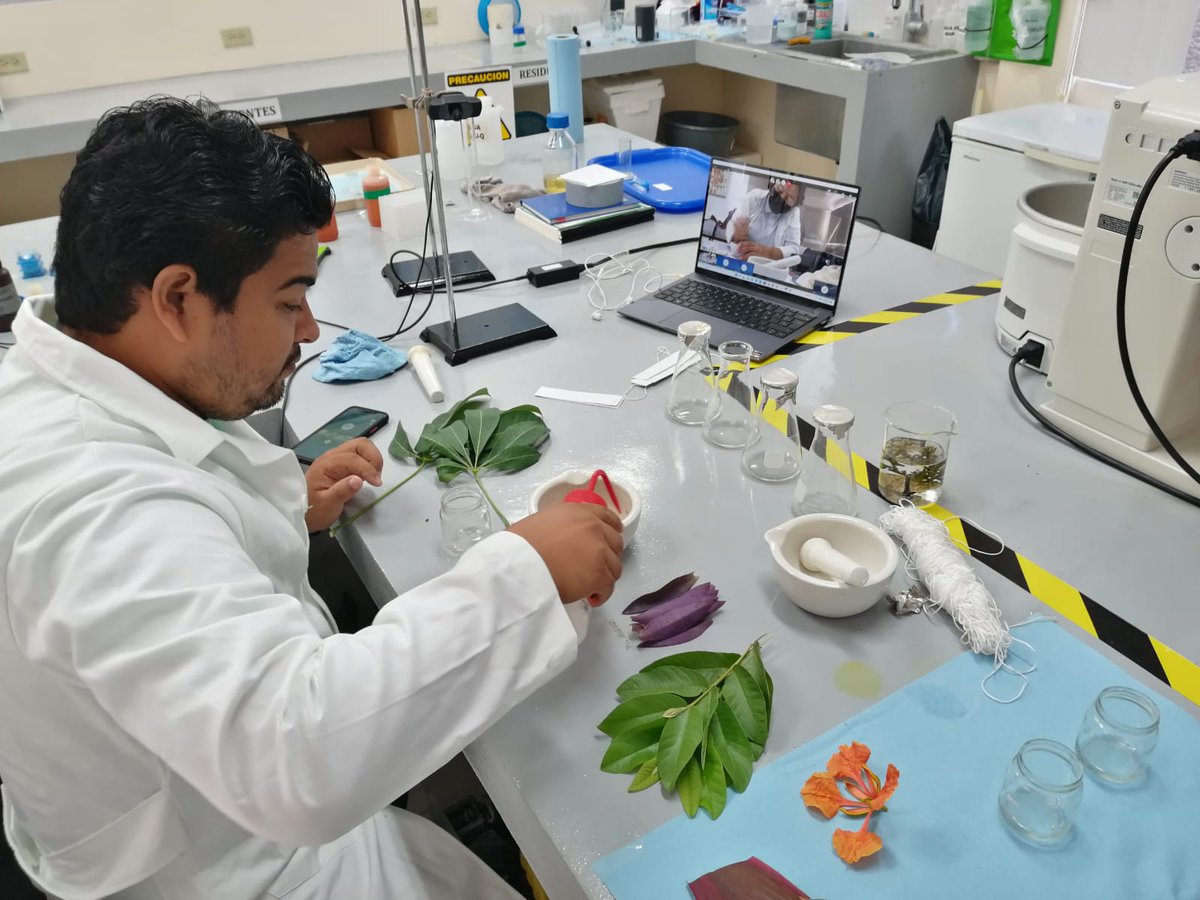CICYoficial's tweet photo. Luego de dos semanas de trabajo, se llevó a cabo la feria de ciencias en la que los participantes de la décima primera generación de #TalentoCICY realizaron un proyecto de ciencia, asesorados por el personal académico del #CICY.

Más información en https://t.co/uTgpOfhlnO https://t.co/iqUwiyeRWL