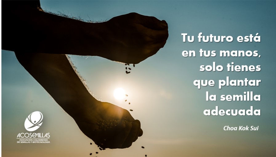 ACOSEMILLAS's tweet photo. #AgroDatos - El uso de buenas semillas permite una población adecuada de plantas con muy buena germinación, lo que no solo favorece el crecimiento rápido de los cultivos, sino que hace que estos sean uniformes. @MinAgricultura @LeoarizaR https://t.co/ablPM6MM7F