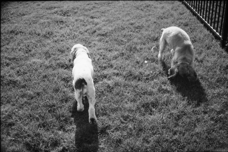 Tim Morgan tweet media