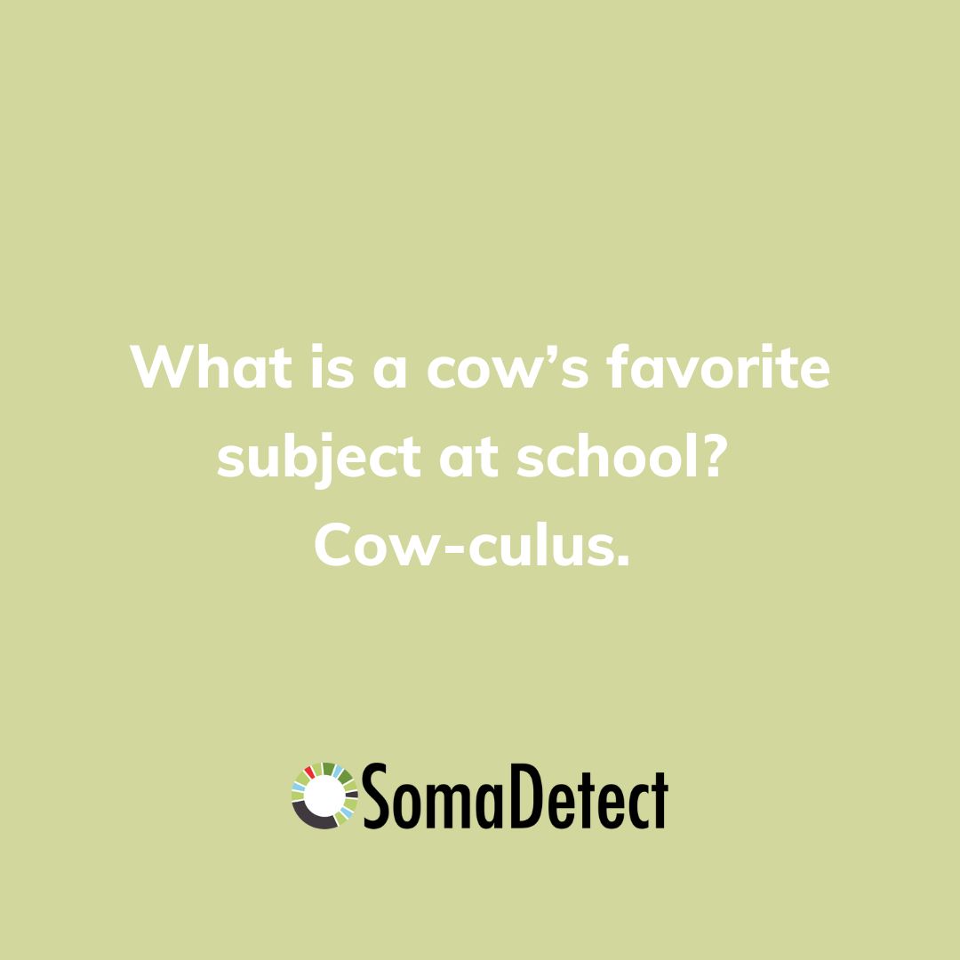 SomaDetect's tweet photo. Did somebody say Friday Funny? #SomaDetect #SomaDetectTechnology #dairytechnology https://t.co/WrZCGXJD9D