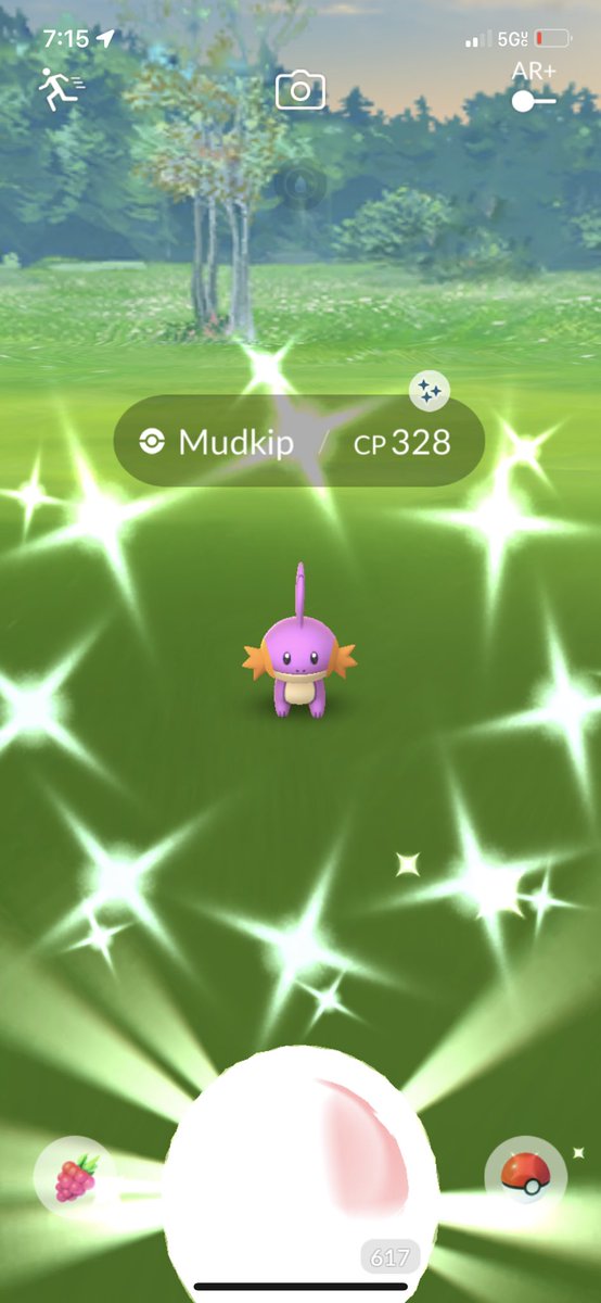 Sn3ak3r_Fr3ak3r's tweet photo. Pre go fest finale vibes !! Letโs keep them coming shall we #ShinyCheck #HouseSpawn #PokemonGo https://t.co/PbB3Npu4y6