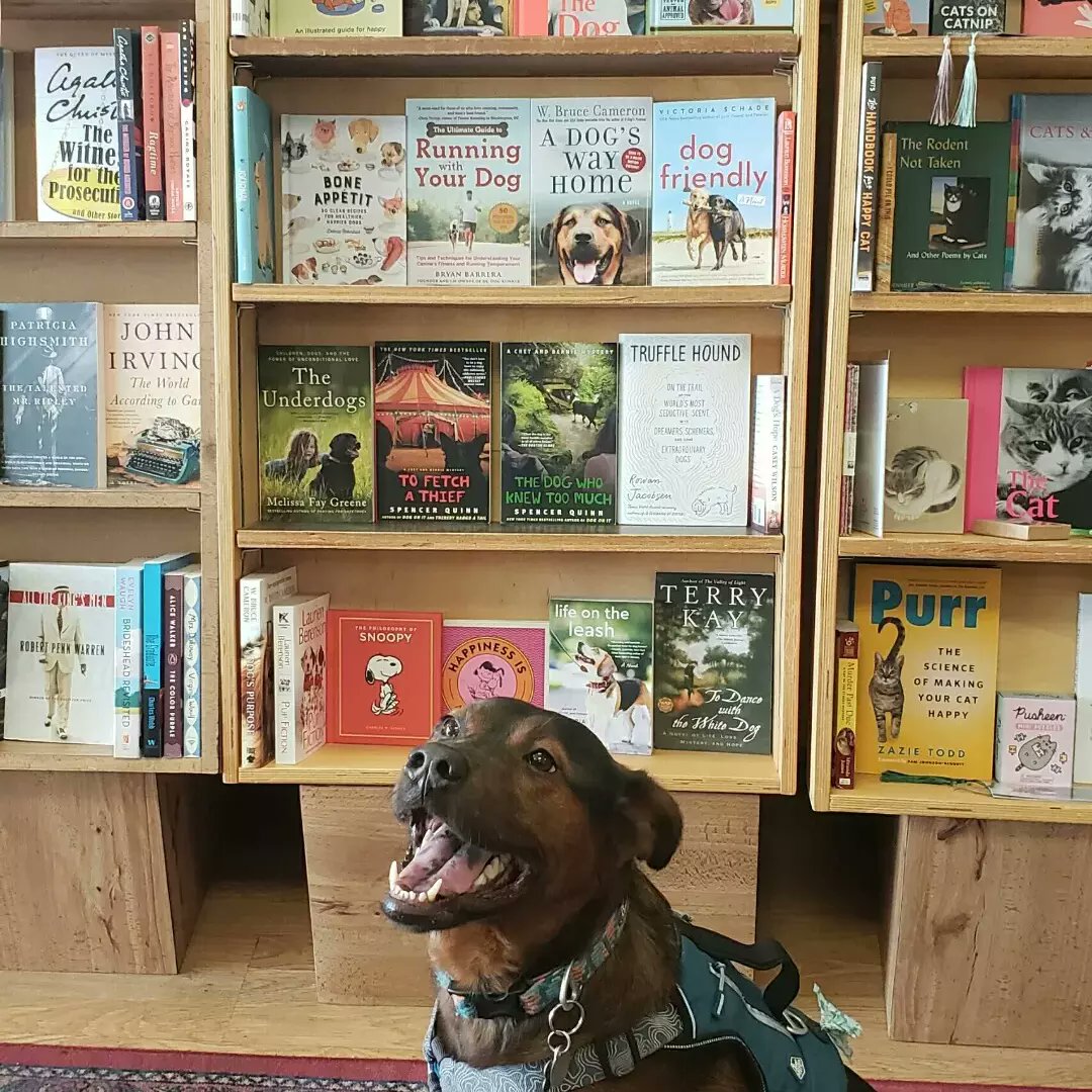 TallTalesATL's tweet photo. Happy #NationalDogDay . Here is one of our favorite customers in front of the #DogDaysofSummer display.
#booksanddogs #dogsandbooks #DogsWhoRead #dogsoftwitter https://t.co/Sr7t2OwVRG