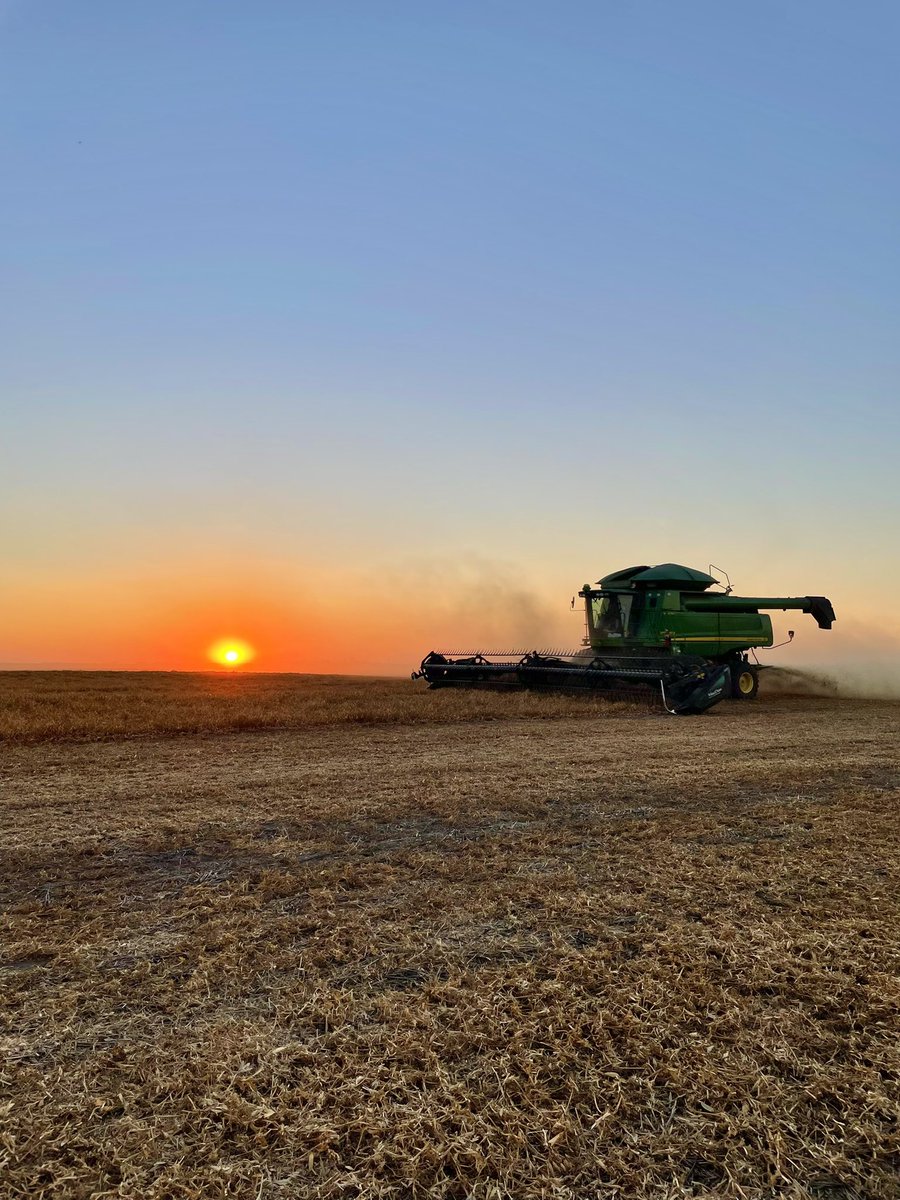 DayleCC's tweet photo. Harvest ❤️🚜🌾
.
.
#harvest2022 #JohnDeere #sunset https://t.co/OsMF3GUOS8
