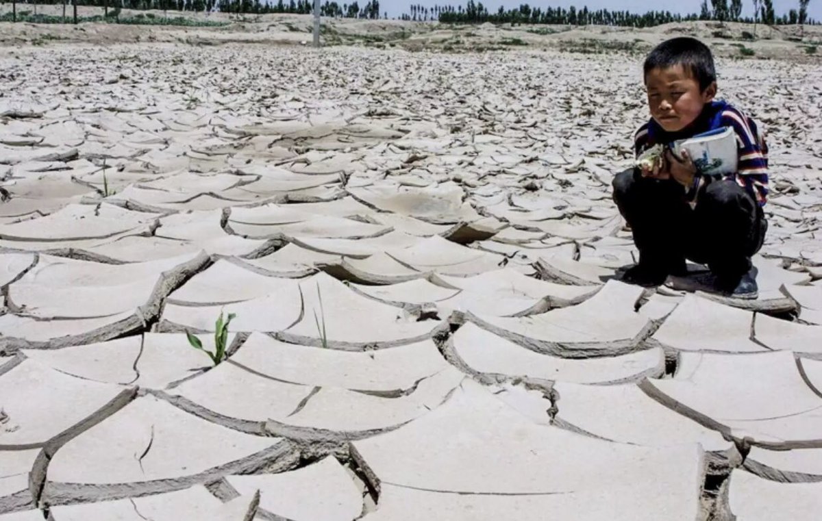 تشهد الصين هذا العام درجات حرارة قياسية وصلت في بعض المدن الكبرى 44 مئوية.. فيما أعلنت البلاد أن أكثر من نصف الأراضي تعاني الجفاف