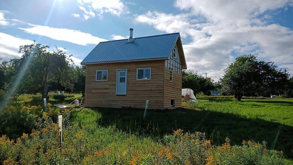 SandowFarm's tweet photo. Summer colour ☀️
#tinyhomes #cabin #newbrunswick #homesteading #nature #offgridlifestyle #winter #getaway #friends #tinyhouse #cabinlife #cabin #cabinintheorchard #offgridcabin #diycabin #diybuild #cabinbuilders #tinyhomebuild #tinyhousebuild #weekendf… https://t.co/H3HIkhdGhw https://t.co/2ZDcxaVCRV