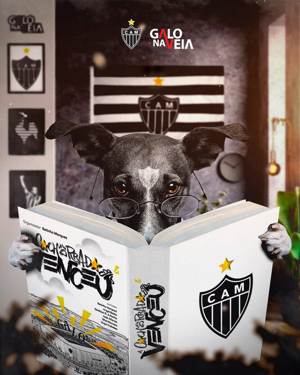 Galo Na Veia tweet media