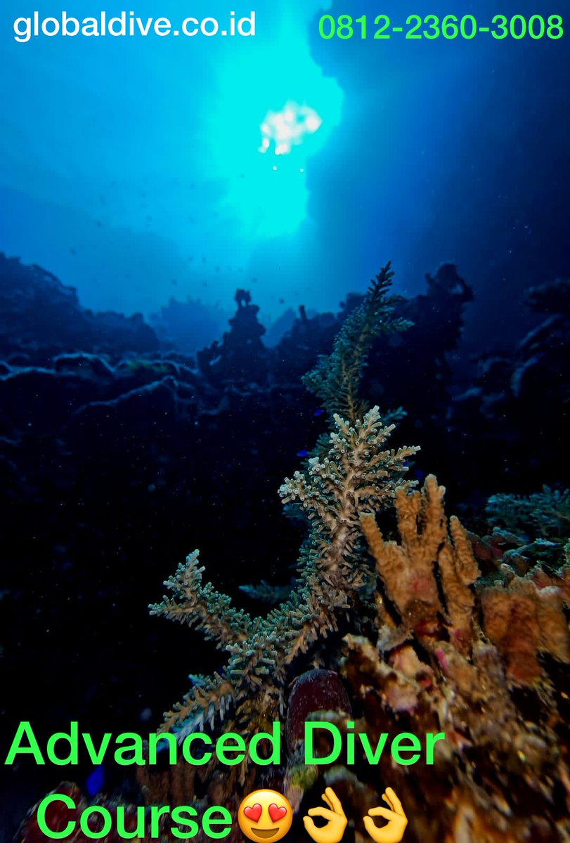 globaldive_id's tweet photo. Mau naik level dari Openwater ke Advanced kah...biar kita bisa jelajahi bawah laut kita yang indah lebih dalam dan lebih nyaman dalam beraktifitas diving...? https://t.co/wjTRPEOKSl