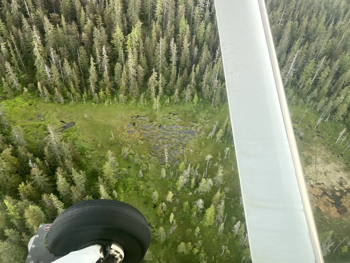 Sitka Sound Science Center tweet media