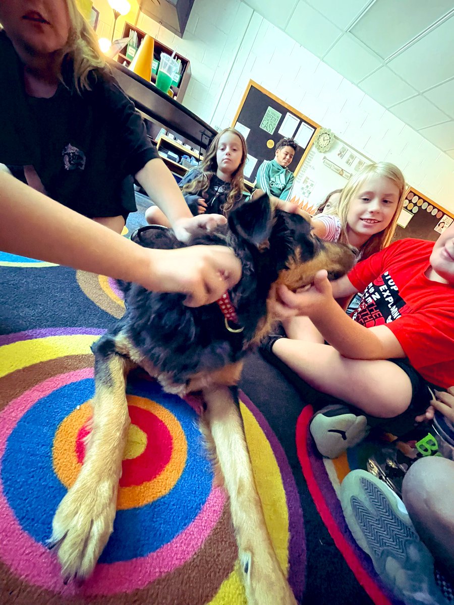readkates's tweet photo. Gia and I stopped by @MrsKFisher22 ‘s class to celebrate because we heard they rocked their reading stamina goal…the 1st week of school! We chilled and had some Gia Time as they listened to read aloud today. Goodbye 22 minute goal, on to 35! @ChouteauSchool @NKCSchools https://t.co/ME3e3tqocD