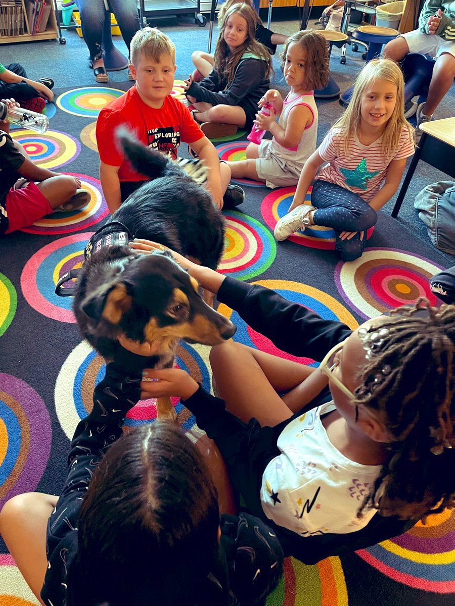 readkates's tweet photo. Gia and I stopped by @MrsKFisher22 ‘s class to celebrate because we heard they rocked their reading stamina goal…the 1st week of school! We chilled and had some Gia Time as they listened to read aloud today. Goodbye 22 minute goal, on to 35! @ChouteauSchool @NKCSchools https://t.co/ME3e3tqocD