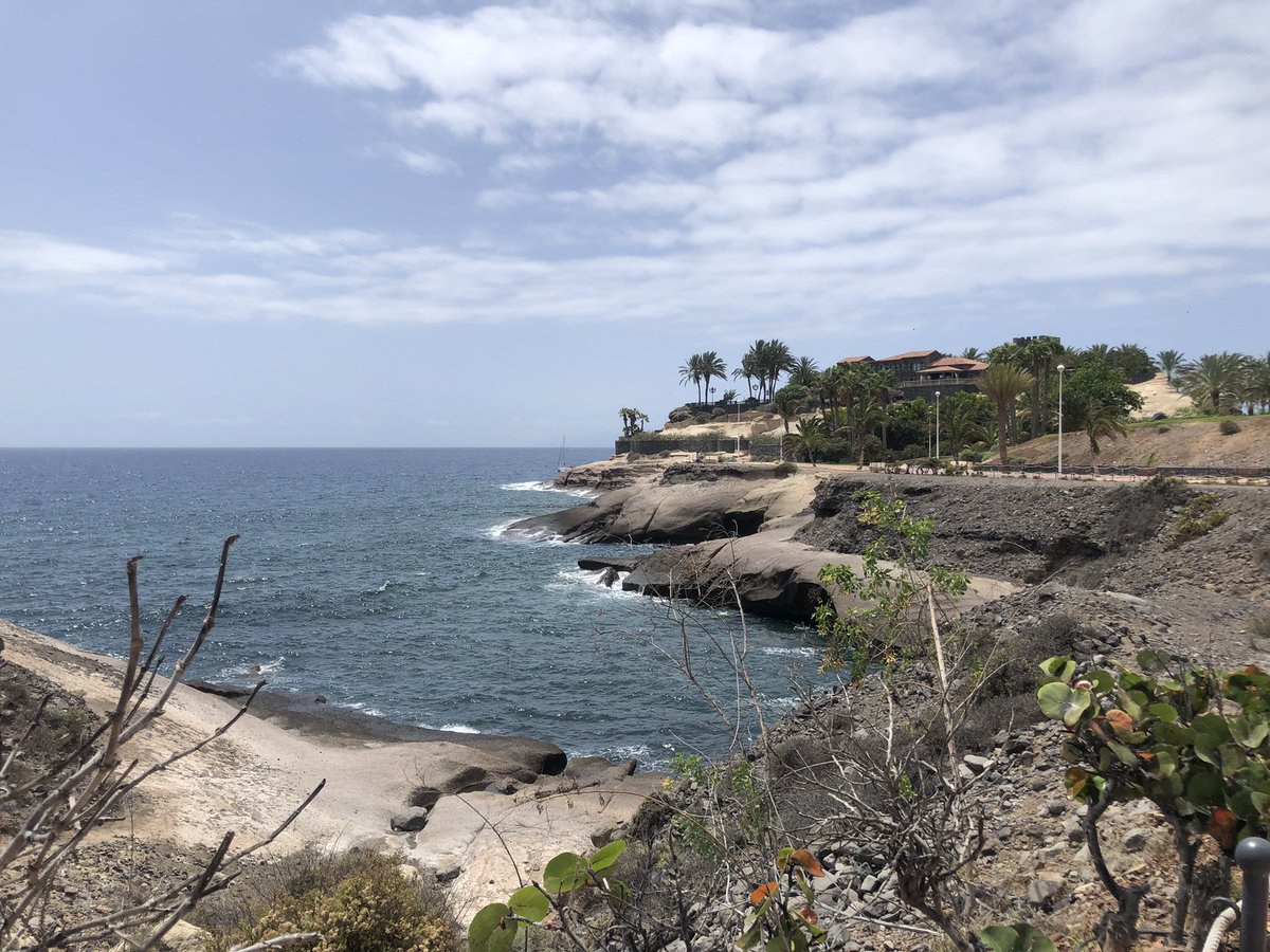 AmorTenerife's tweet photo. Lovely day at Fanabe… hope all our followers have a fantastic Friday night and into the weekend ☀️

#Tenerife #fanabe #tenerifesud @BuzzTenerife @VisitaVen @CanaryIslandsEN @TenerifeGuide @tenerife_guides @visit_tenerife https://t.co/9gbhUCTWWL