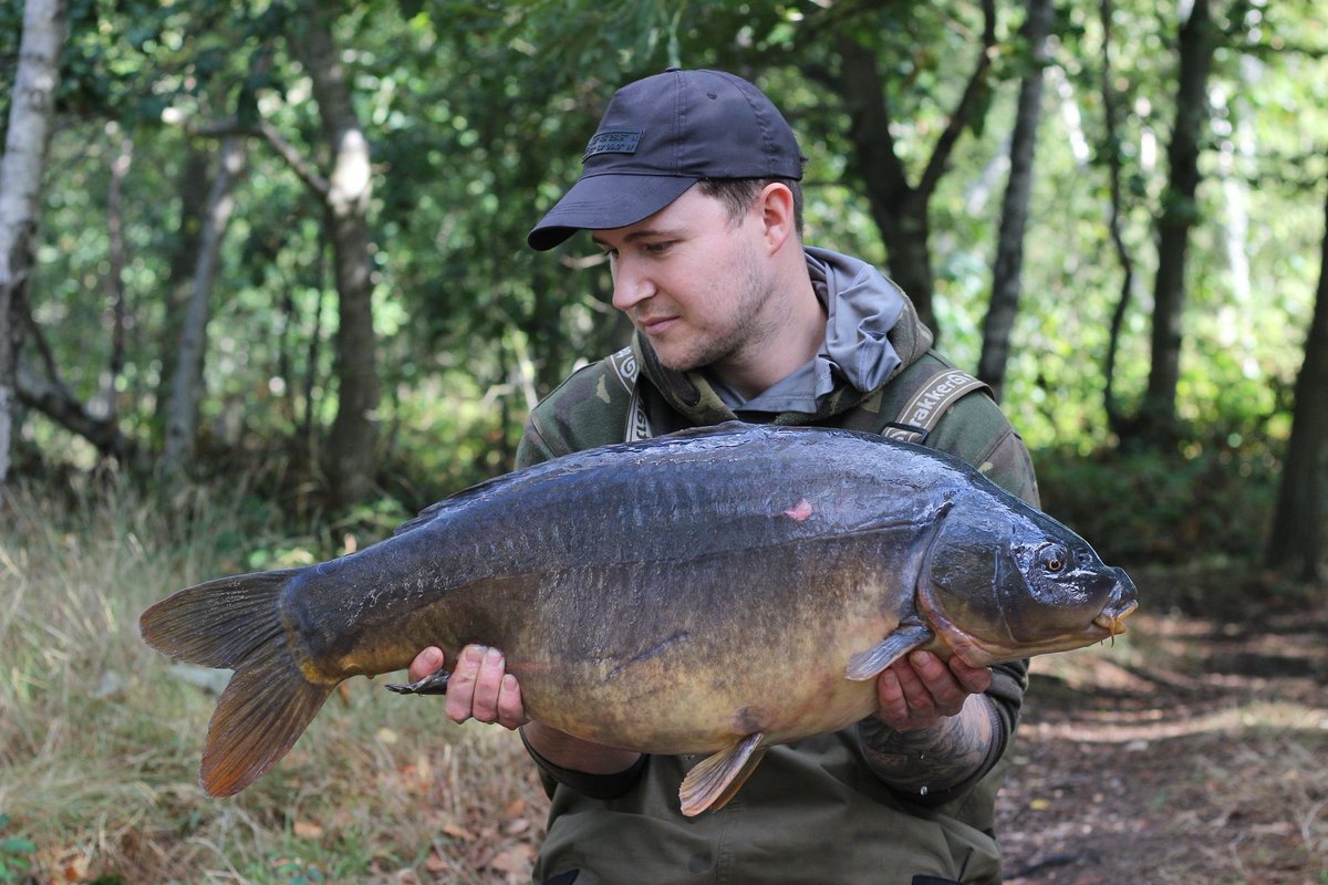 shanehiatt89's tweet photo. Couple of nice mirrors from this morning #cell #essentialcell @MainlineBaits 👌 https://t.co/pHj7M2HCim