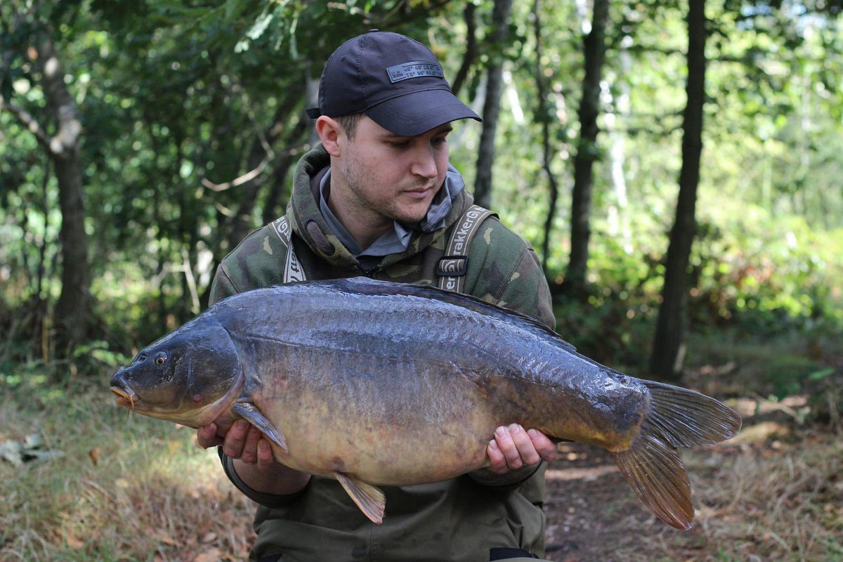 shanehiatt89's tweet photo. Couple of nice mirrors from this morning #cell #essentialcell @MainlineBaits 👌 https://t.co/pHj7M2HCim