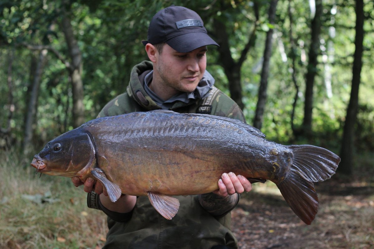 shanehiatt89's tweet photo. Couple of nice mirrors from this morning #cell #essentialcell @MainlineBaits 👌 https://t.co/pHj7M2HCim