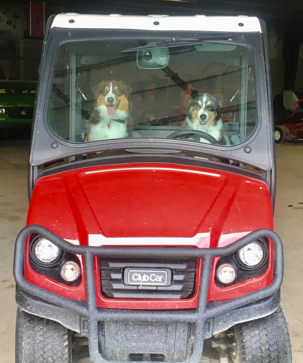 eagleoaks's tweet photo. Happy National Dog Day to Eagle Oaks’ very own Geese Police - Jackson &amp; Marley! 🐶🚓 https://t.co/xl0gtiEn5f