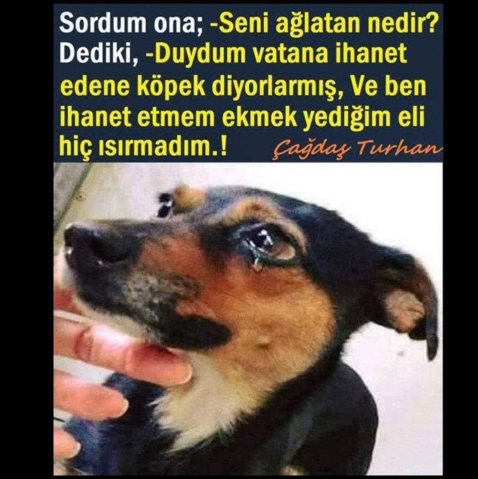 MustafaCego2's tweet image. 