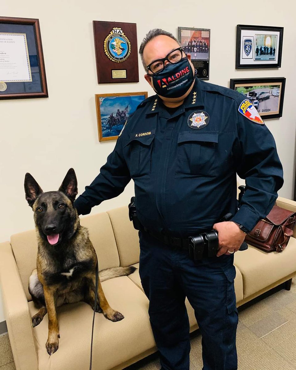 FinanceTeamAld1's tweet photo. Celebrating #InternationalDogDay  with Aldine ISD canine Officer Delta and Chief Cordova. @AldineISD #AldineConnected https://t.co/XVgKvMog2G