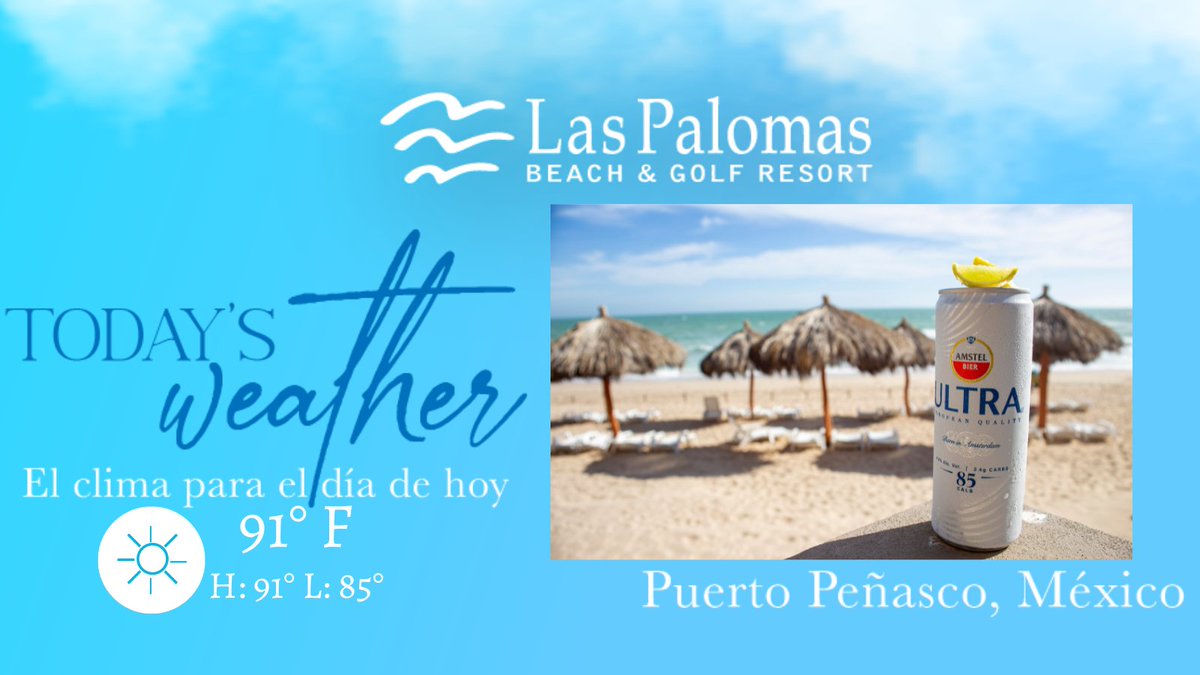 Las_Palomas's tweet photo. You can’t buy happiness, but you can buy a beer at the beach and that’s kind of the same thing. ☀️ https://t.co/xwQNgKZXp1