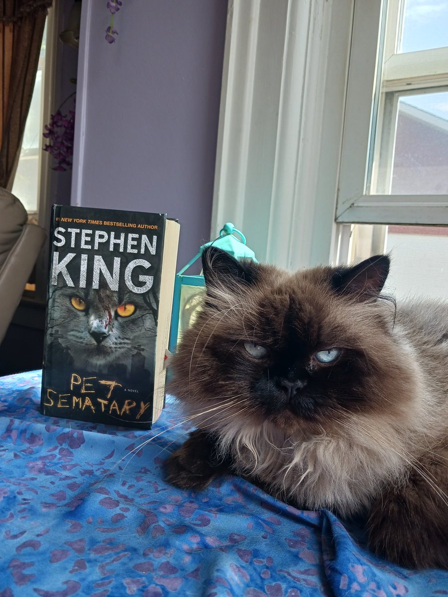 GEEDGUY's tweet photo. #Himalayancat #petsemetary @punkrockncider https://t.co/4ZuWBkaKRT