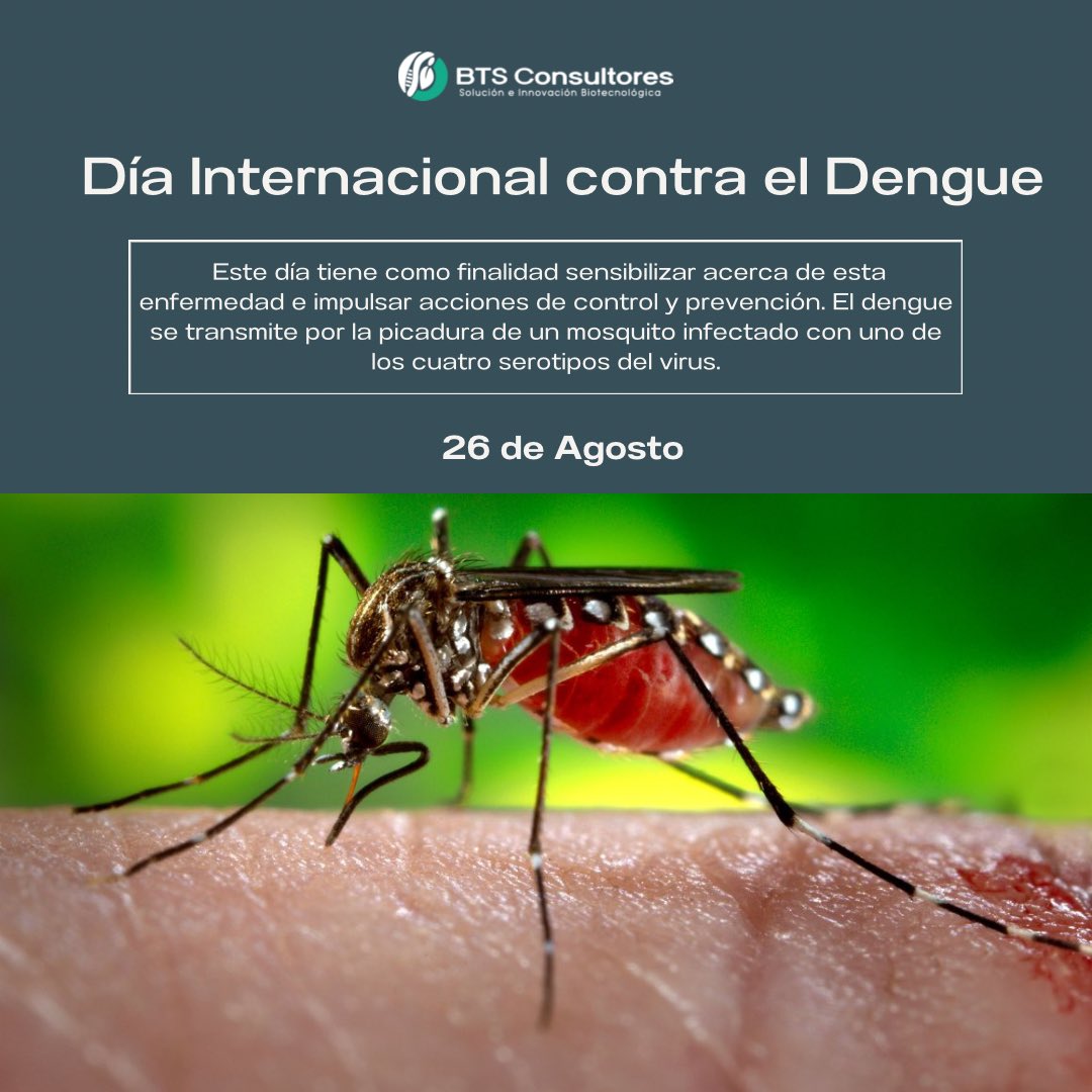 BTSCONSULTORES's tweet photo. 📌La infección del Dengue puede ser asintomática, o cursar con síntomas que van desde una fiebre moderada a una fiebre alta incapacitante, con dolor de cabeza intenso, dolor detrás de los ojos, dolor muscular y en las articulaciones, y sarpullidos. https://t.co/V13tntc3cw