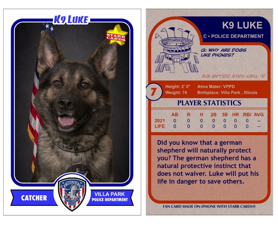 villapark_il's tweet photo. Happy #NationalDogDay. We thought it would be a good idea to introduce our @VillaParkPolice K9 Luke! https://t.co/8Cr2qRtuDc