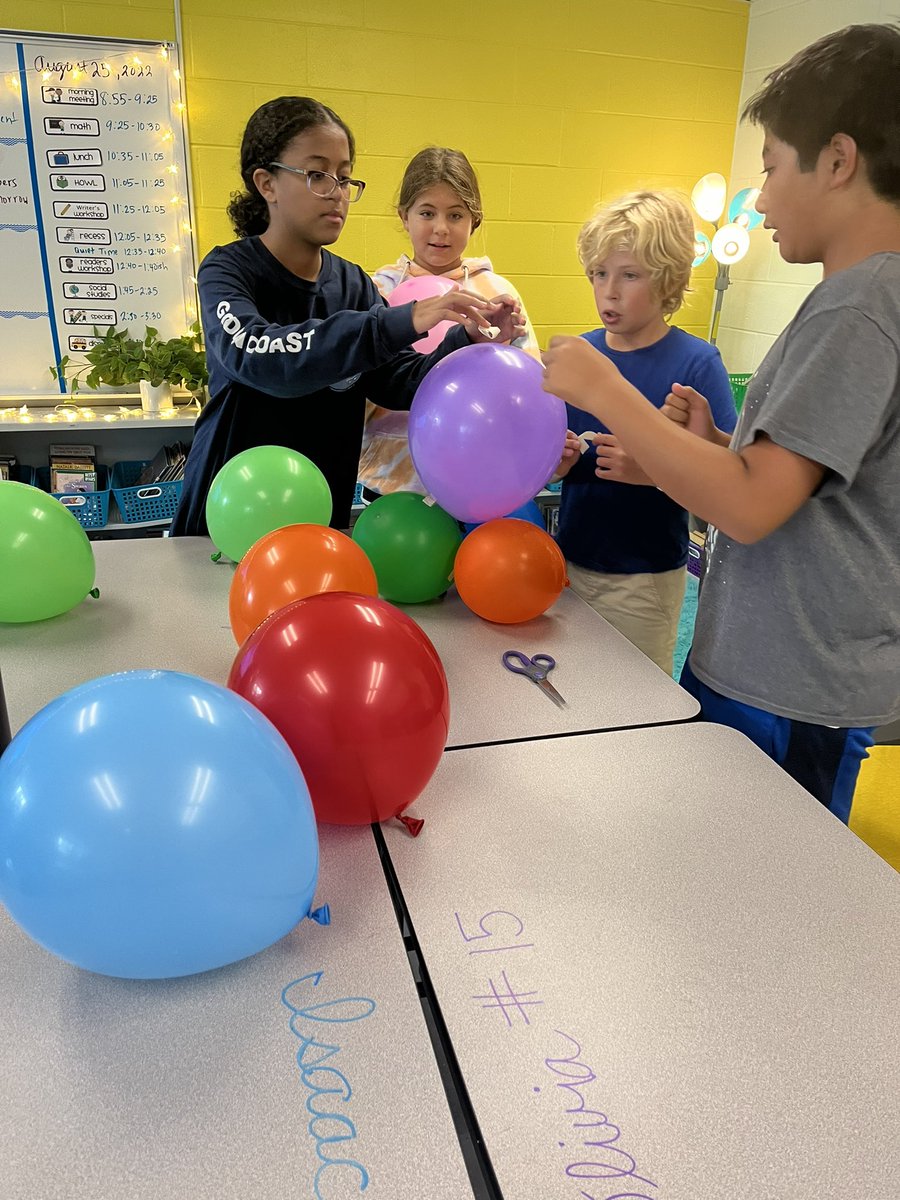 Morgan Litz tweet media