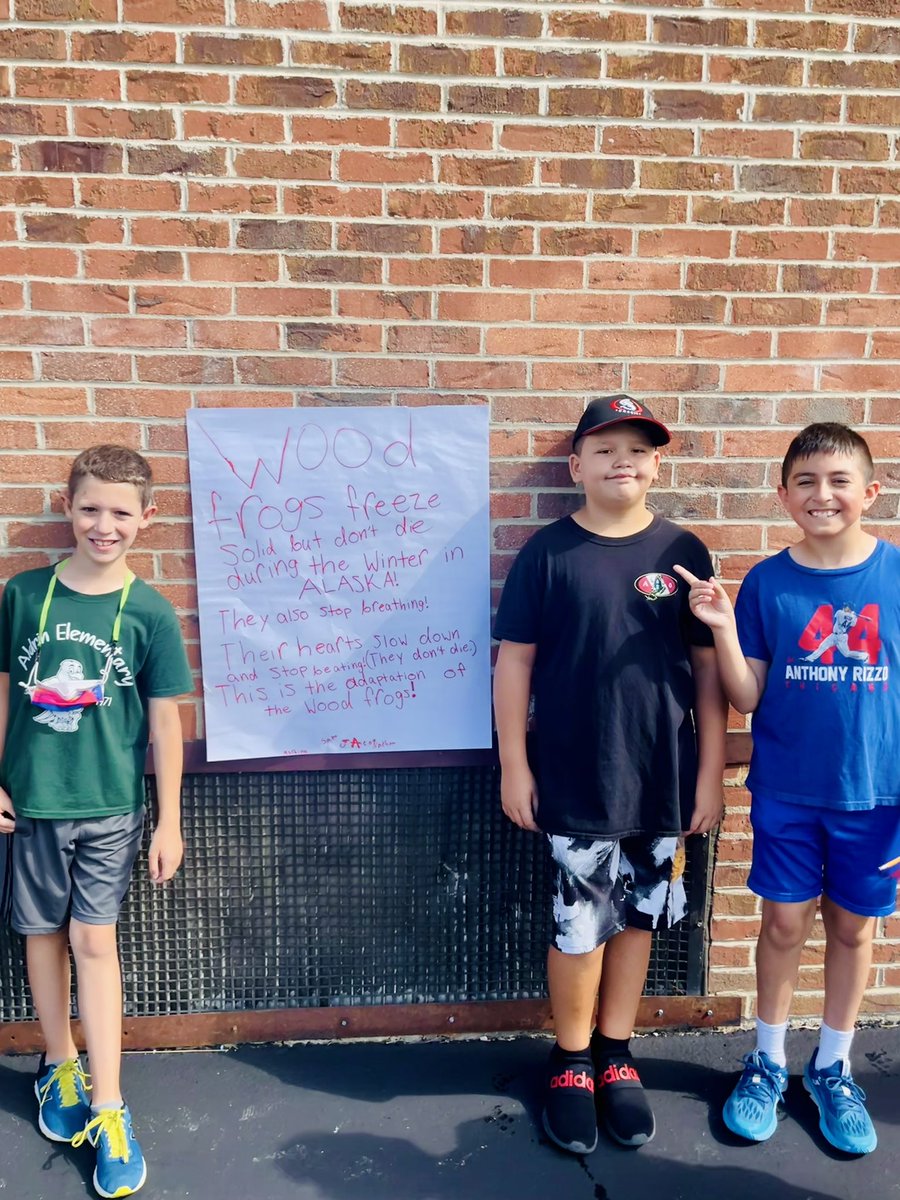 AliElfessiD54's tweet photo. This week we read a super engaging article about crazy animal adaptations recommended by @JSiniteanD54! We worked in groups to respond to what we read and headed outside to give Glows ⭐️and Grows 📈to our classmates’ responses. #WeAre54 @EaglesAldrin https://t.co/AlBy6yZ6sF