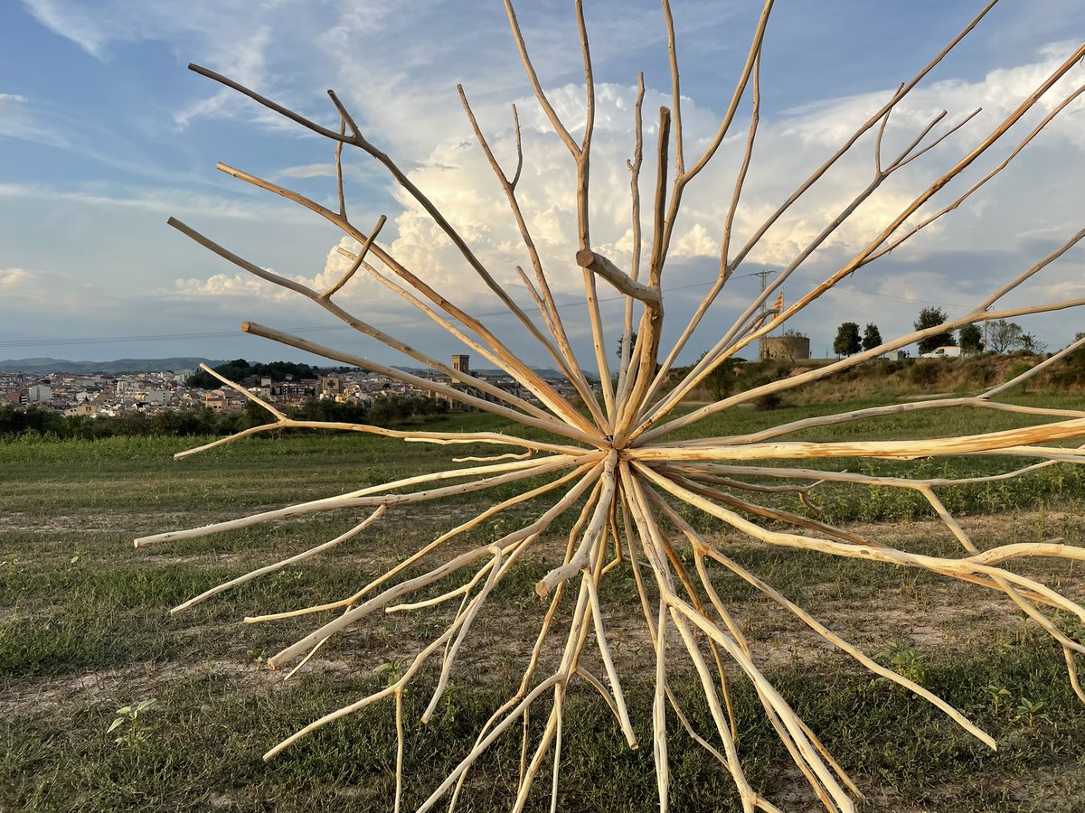 Marc Aloy Guàrdia 🎗 tweet media