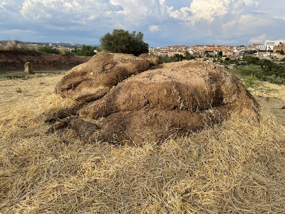 Marc Aloy Guàrdia 🎗 tweet media