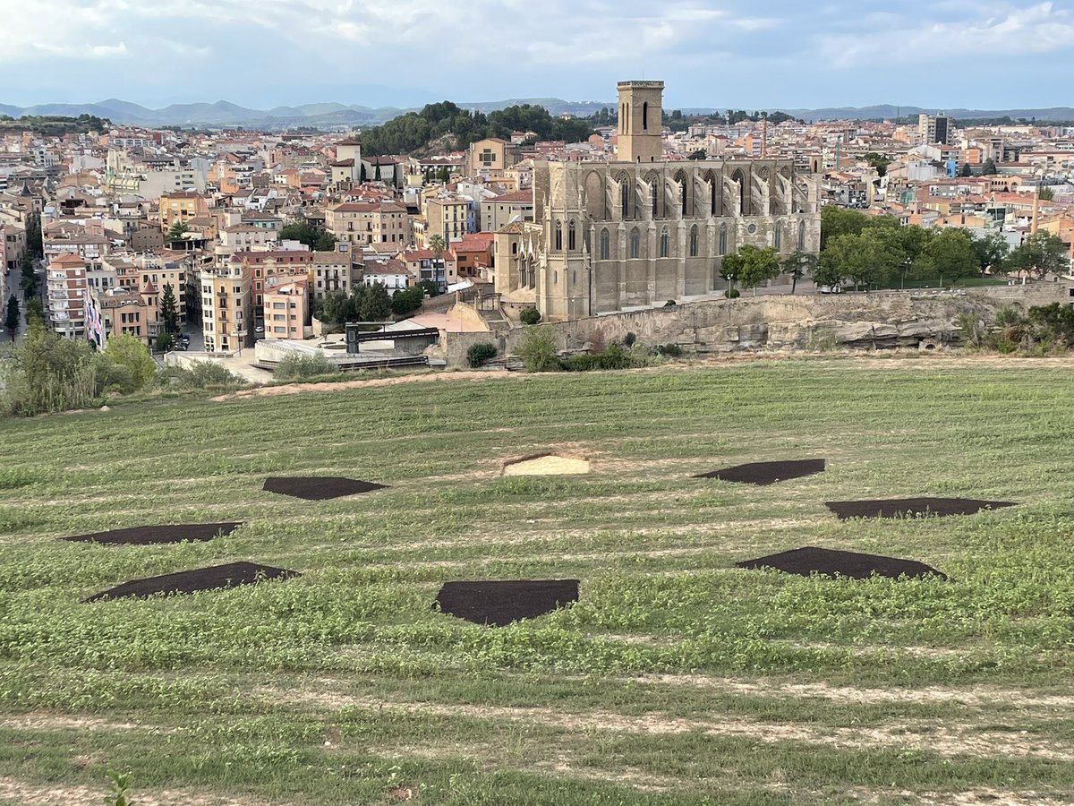 Marc Aloy Guàrdia 🎗 tweet media