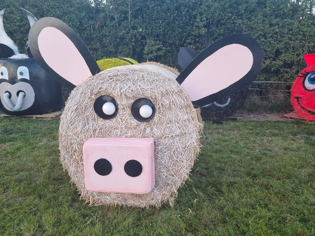 Some animals still bring prepped for tomorrow …. But some are already in 🤣🤣🤣