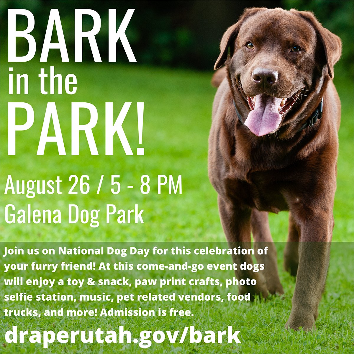 drapercity's tweet photo. We are celebrating #InternationalDogDay with our Bark in the Park event from 5-8 PM at Galena Dog Park. @fox13 will be on site from 4-6 PM doing live shots for their newscasts. https://t.co/1xpMfPFj0J