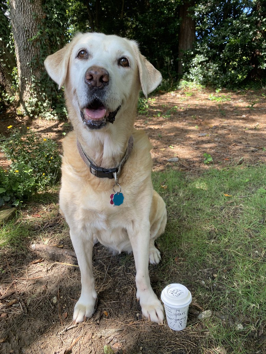 krbreland's tweet photo. Thank you Bradley Park - Columbus, GA @Starbucks for giving Peaches the best 14th Birthday PupCup 🥹 https://t.co/rTpTUJVocn