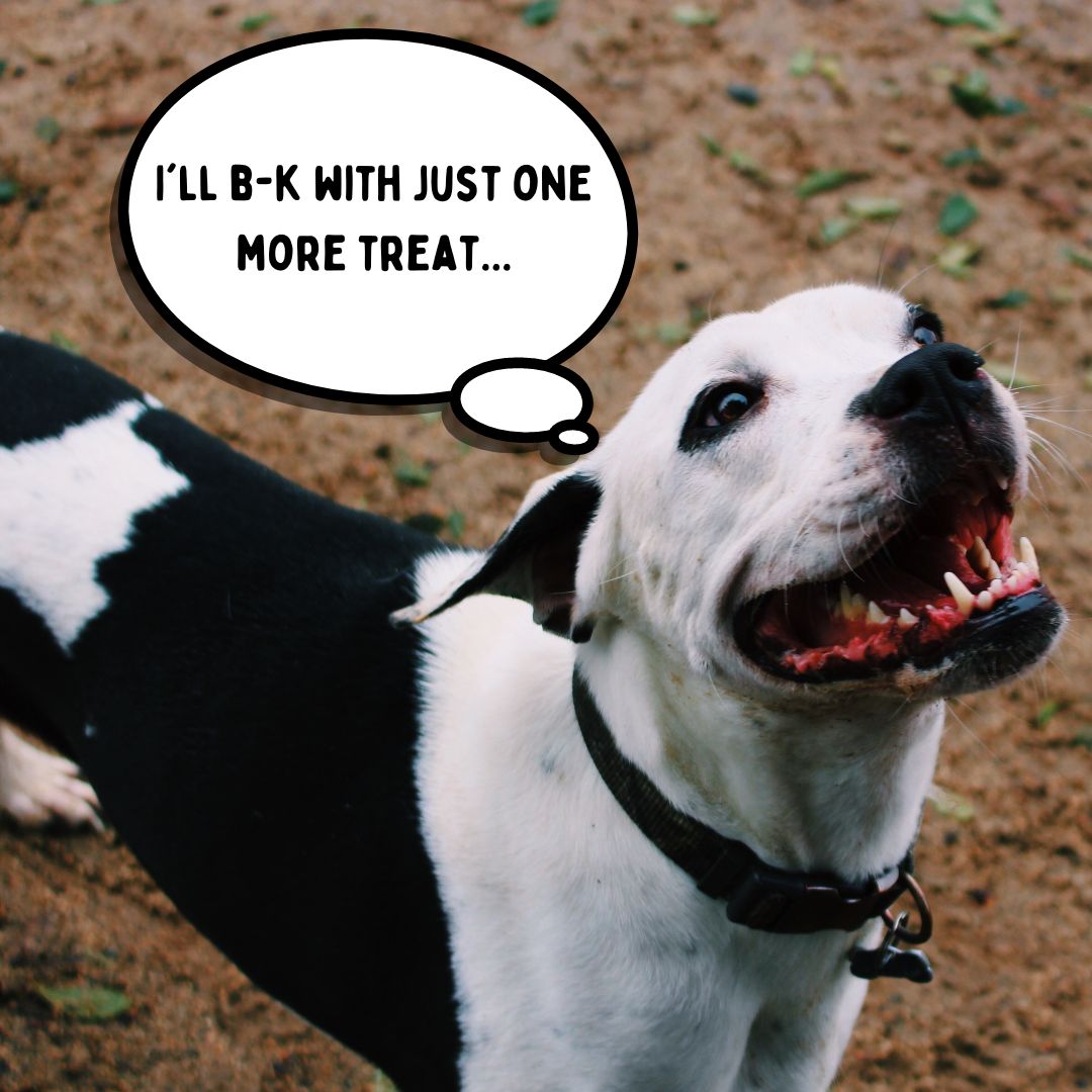 B-K Lighting tweet media