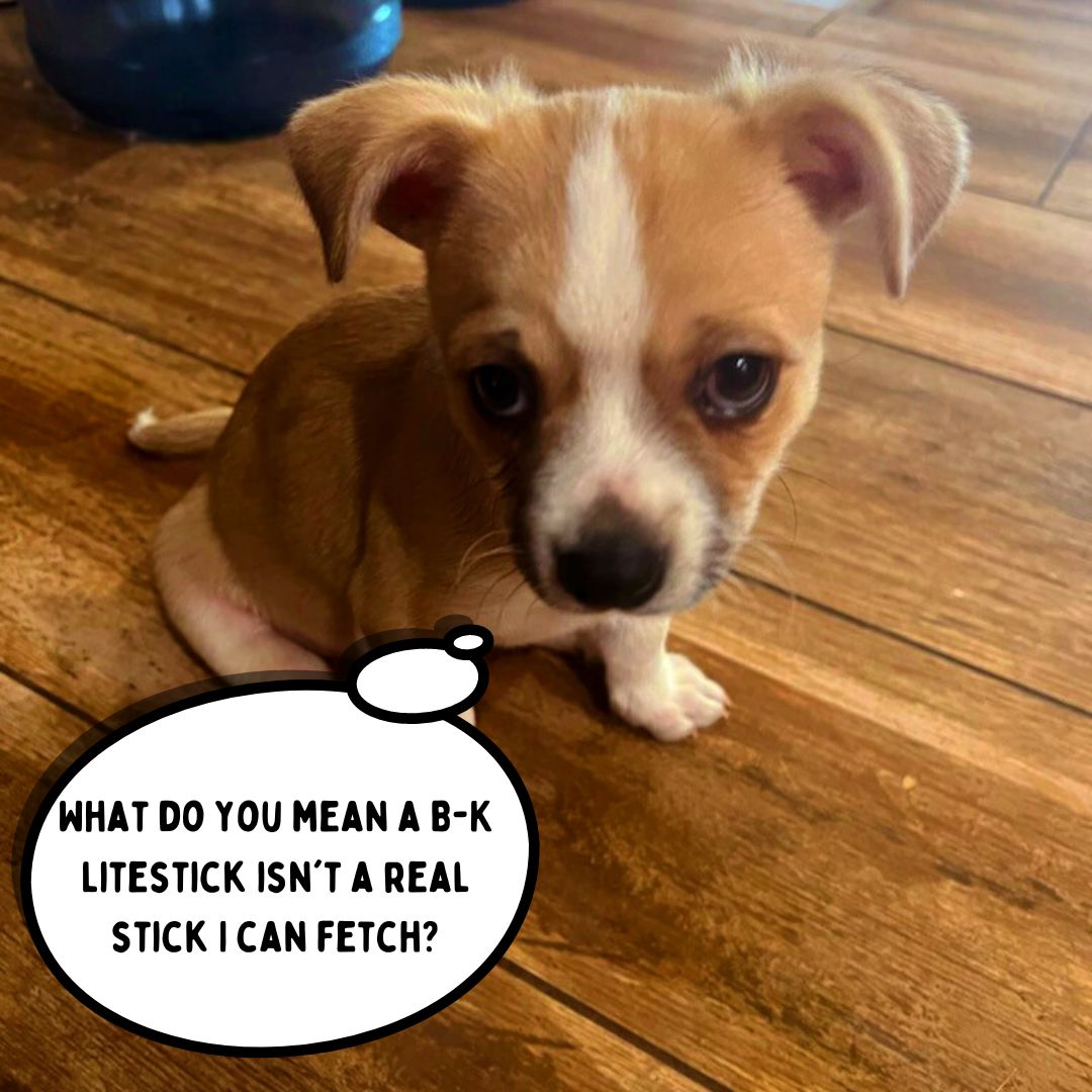 B-K Lighting tweet media