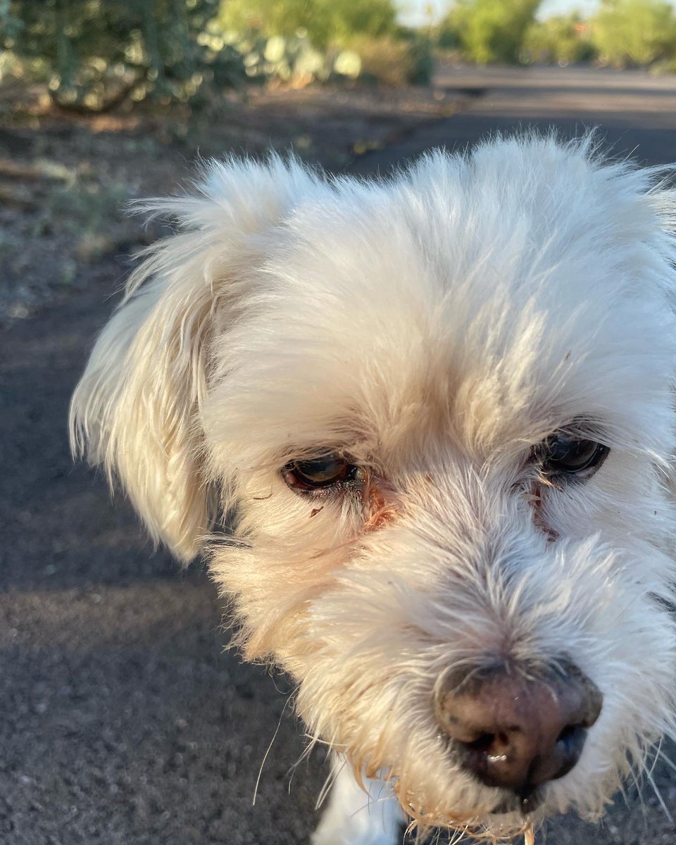 Kathy Chavez tweet media